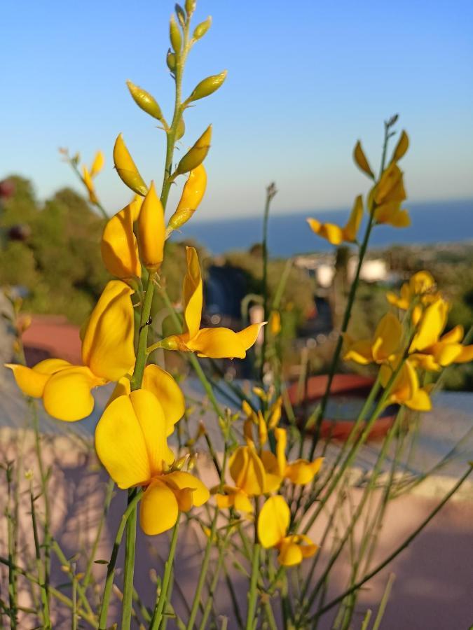 La Petite Maison Aci Castello Buitenkant foto
